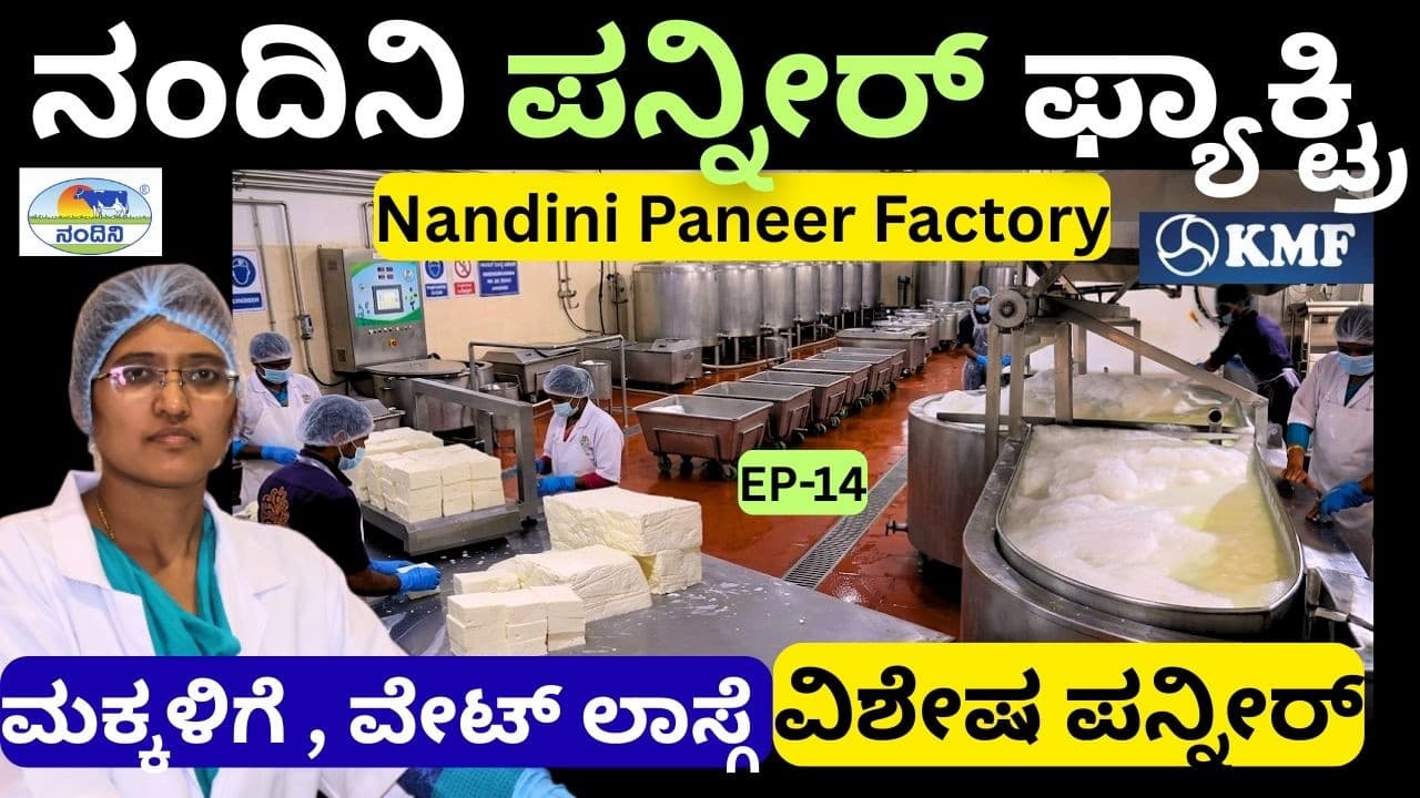 ನಂದಿನಿಯಲ್ಲಿ ದಿನನಿತ್ಯ 13 ಟನ್ ಪನ್ನೀರು ಉತ್ಪಾದನೆ.|KMF||Nandini Milk||EP-14
